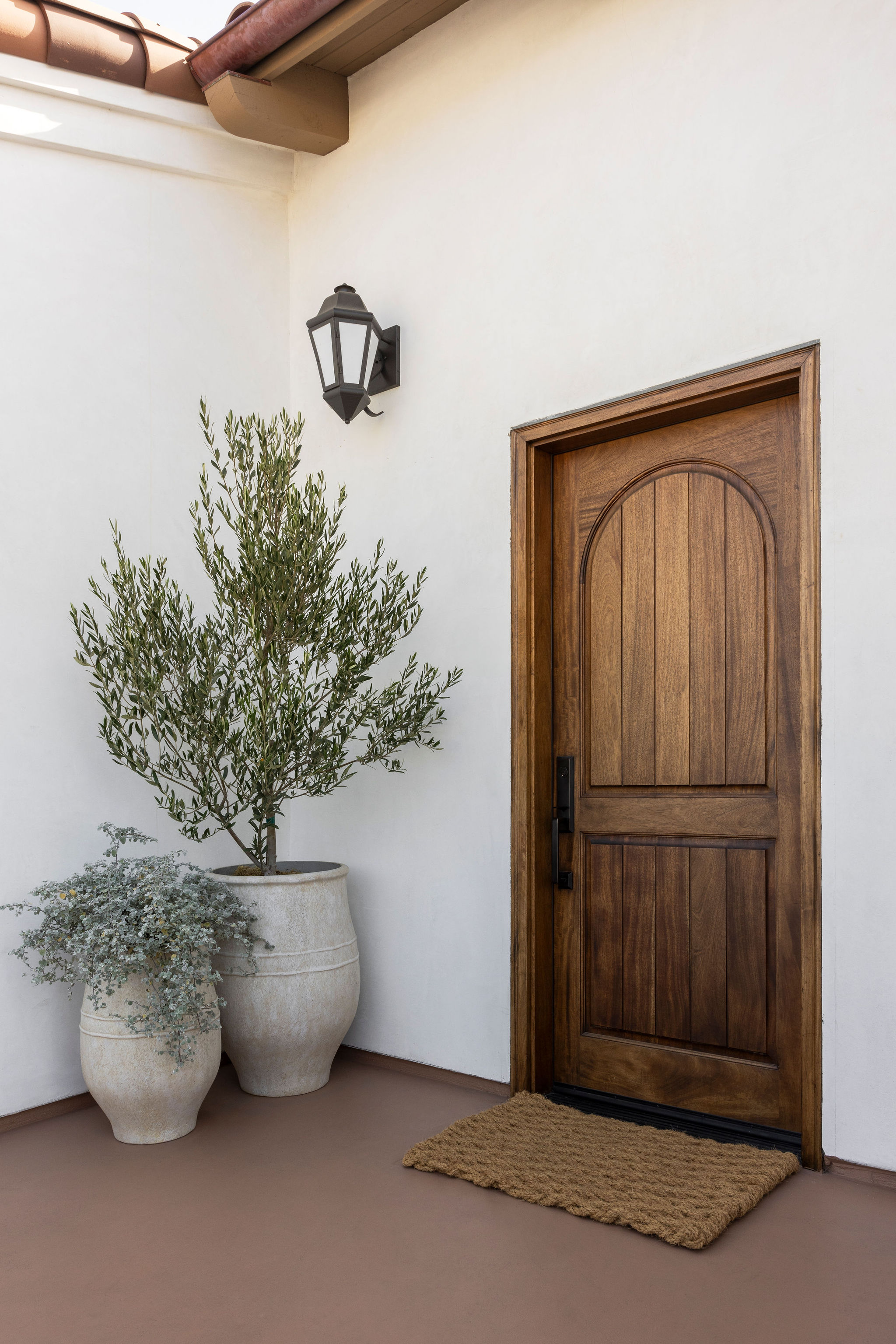 Elegant wood front door surrounded by white stucco siding and accented with lush potted greenery, creating a warm and inviting entrance.