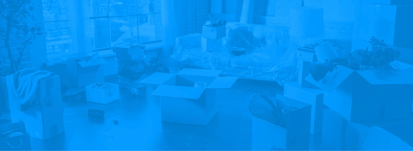 Home Packing Service