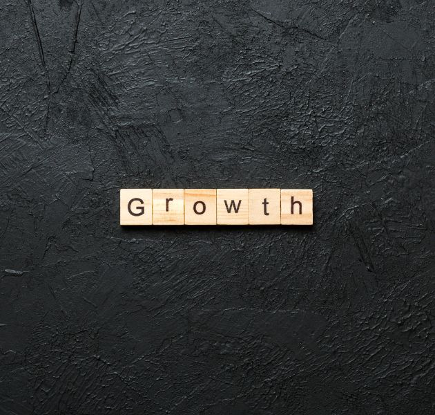 Business Growth