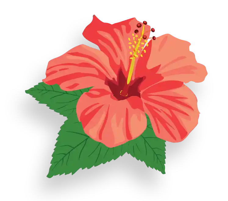Illustration of tropical plants