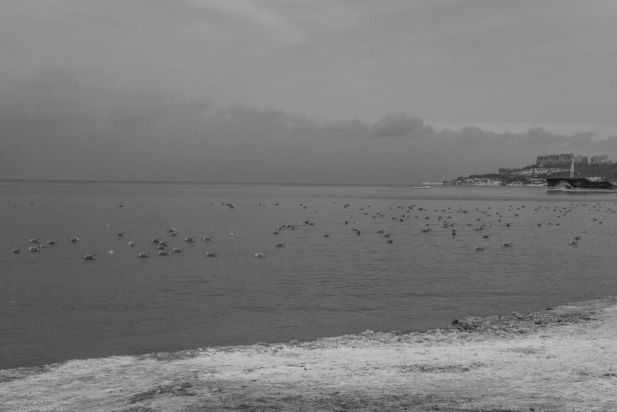 Одесса. Зима 2017. Фотограф: Сергей Чирков. Odessa, winter 2017. Photographer: Sergei Chyrkov.