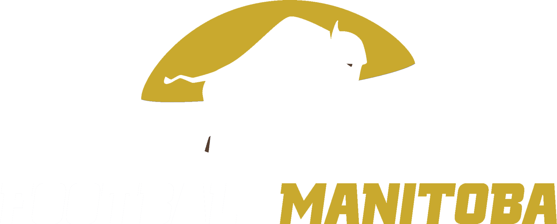 A TeamLinkt Sports League Partner Logo