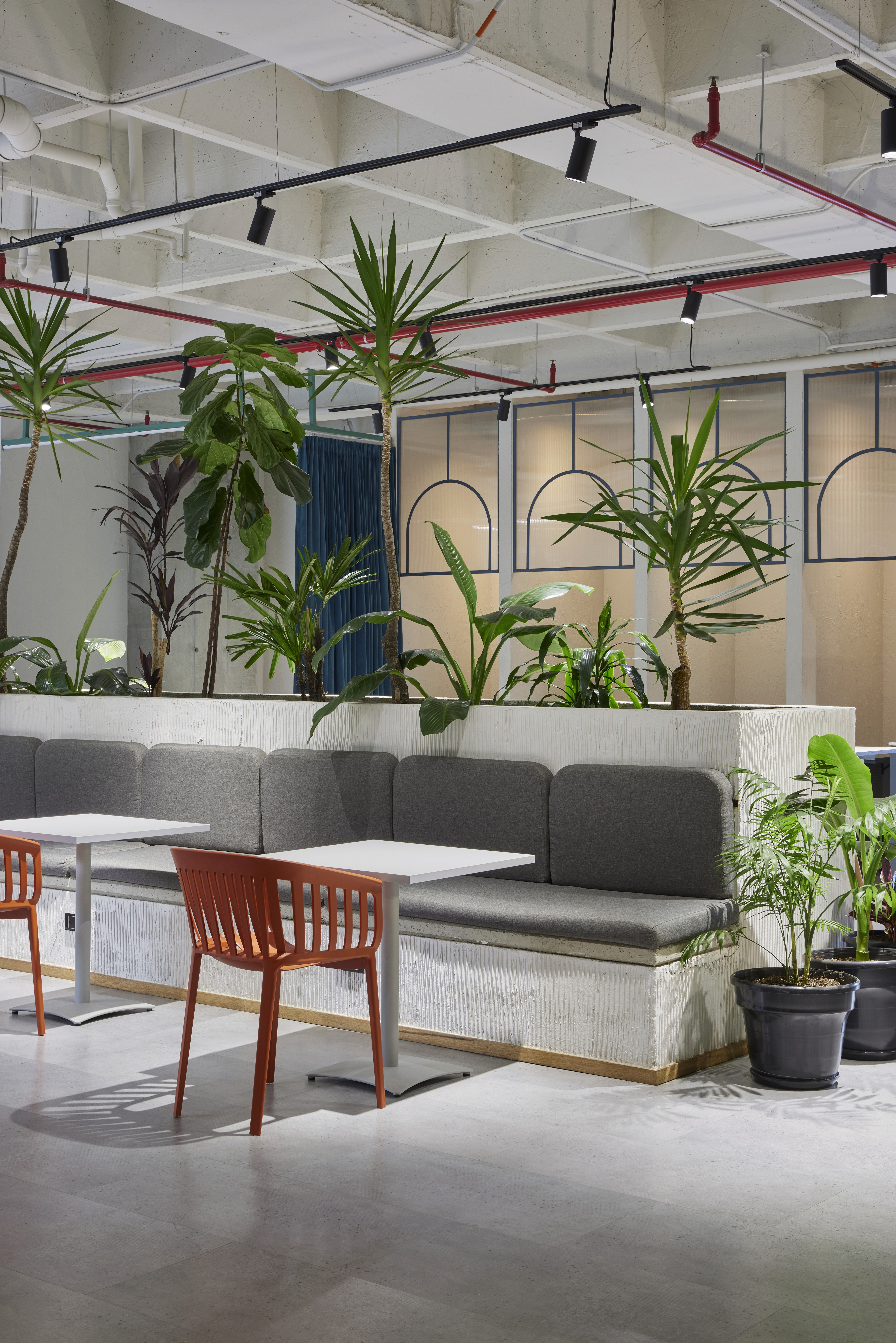 Double-height interior with flowing sculptural forms and warm raking light