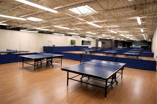 Pingpong team building op bedrijfslocatie met mobiele tafels en volledige organisatie