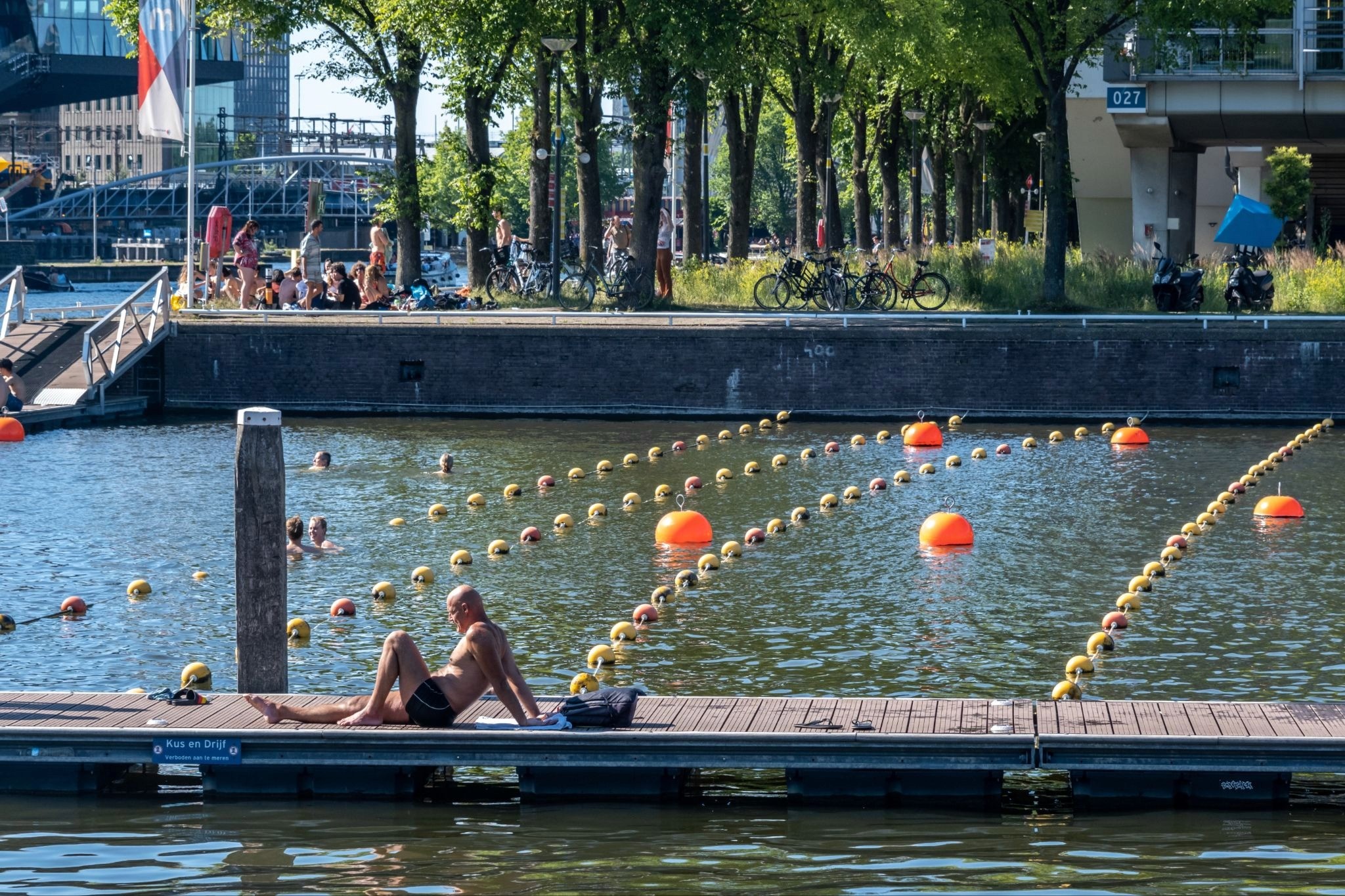 Swimming lanes crossing from the boardwalks of Amsterdam's Marineterrein to the leafy dockside, with swimmers and sunbathers in frame