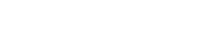 flydubai logo