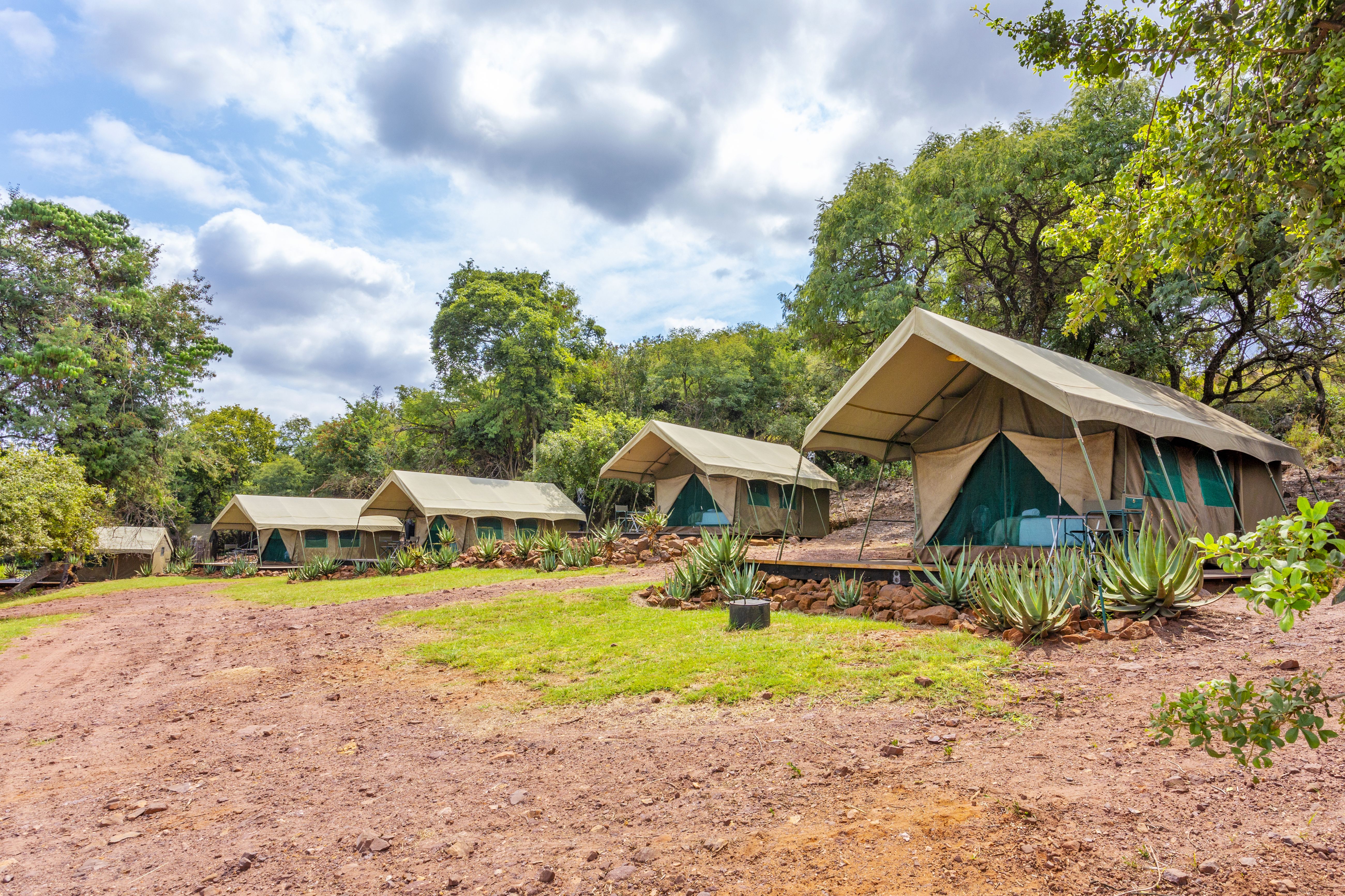 Kilimanjaro Elephant Ride, Arusha, Tanzania. En kvinna sitter och läser utanför ett tält uppsatt i vildmarken.