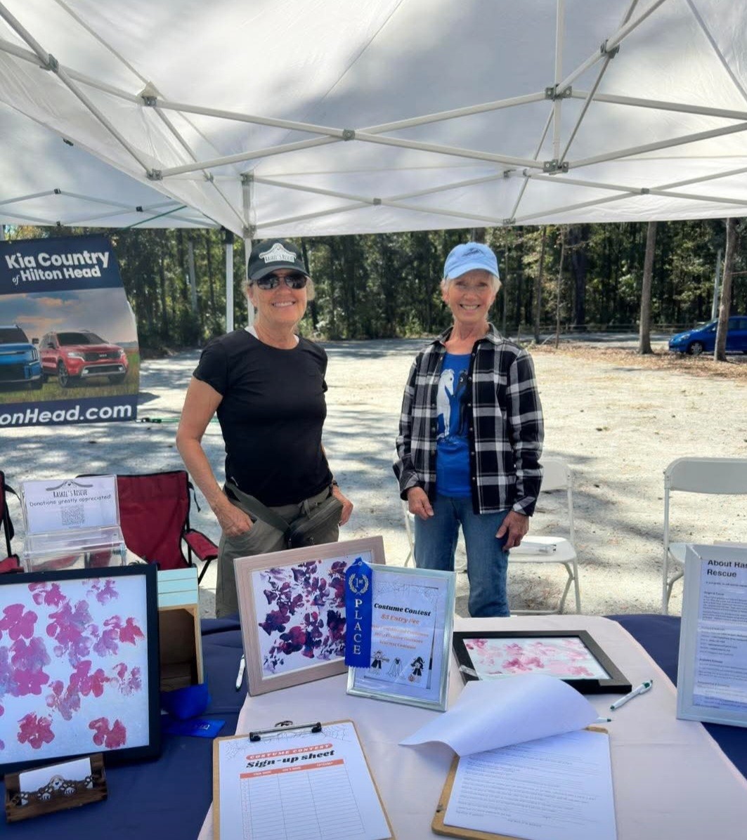 Two people stand behind a table filled with flyers and materials under a canopy at an outdoor event.