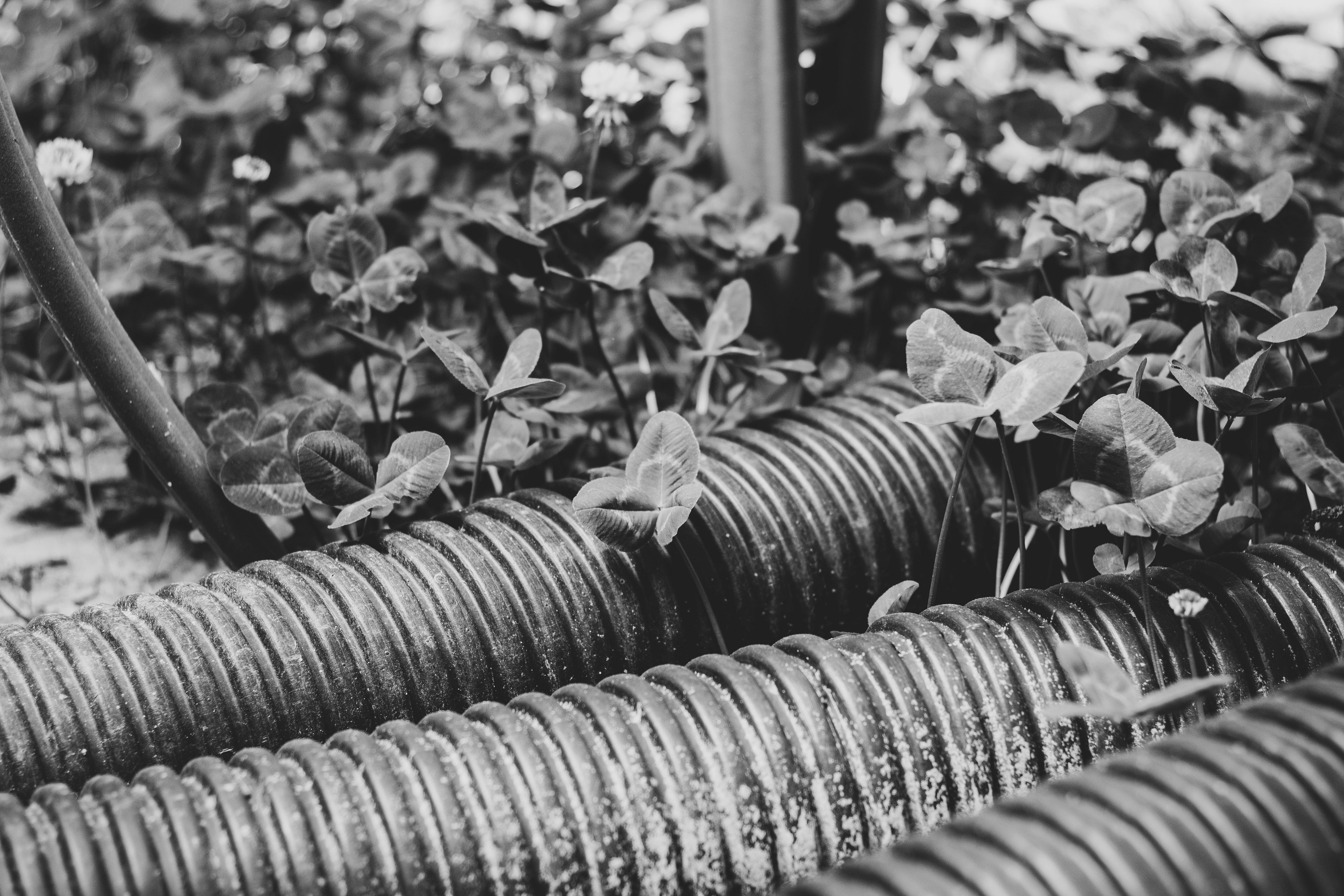 low angle photography of building