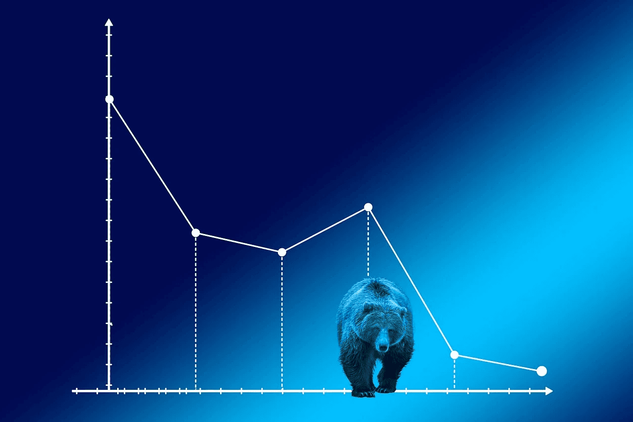 Bull vs. Bear Market Crypto: What They Mean for Bitcoin & Investors