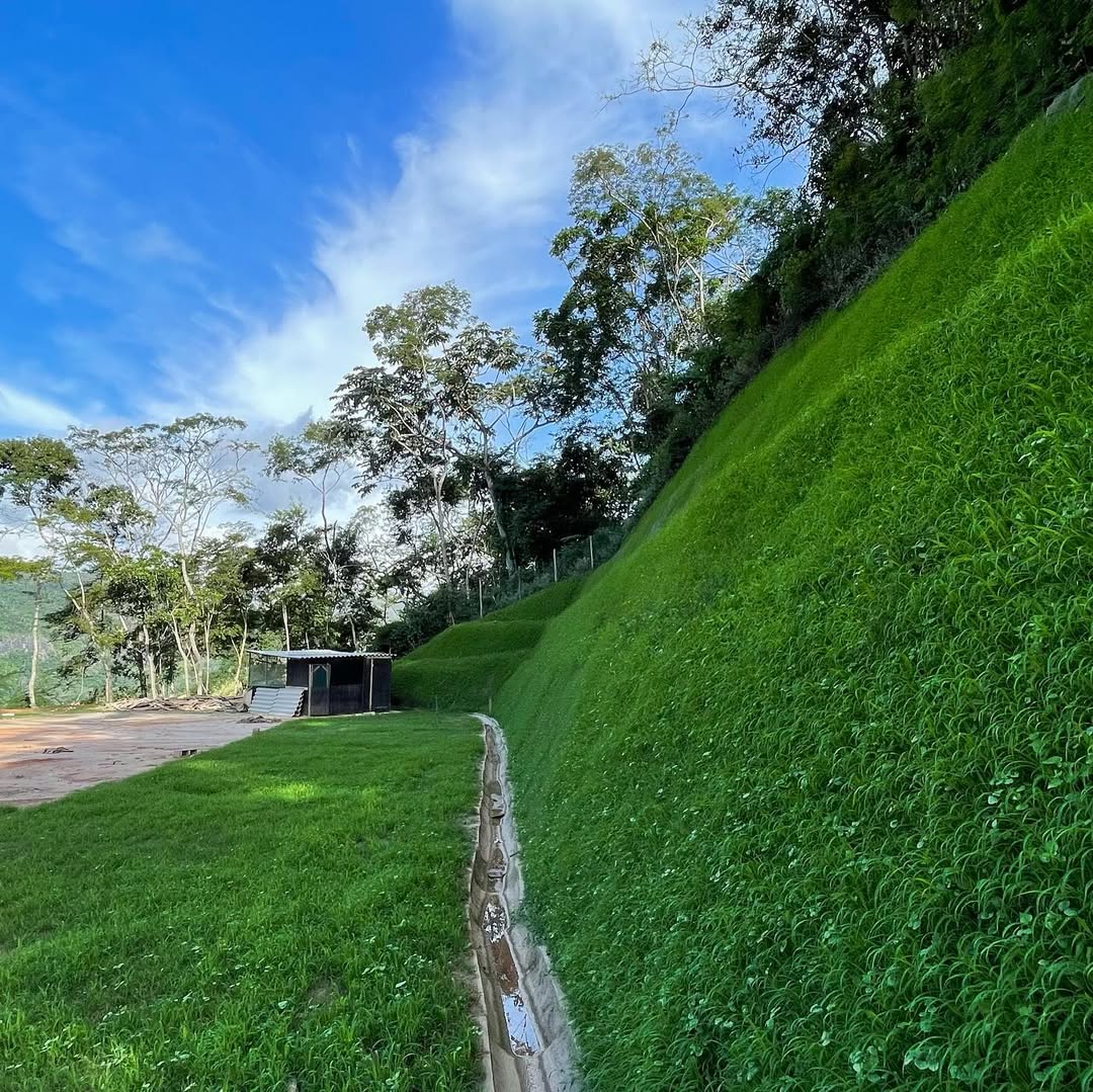 Aerial view shows coast, forest, and green fields.