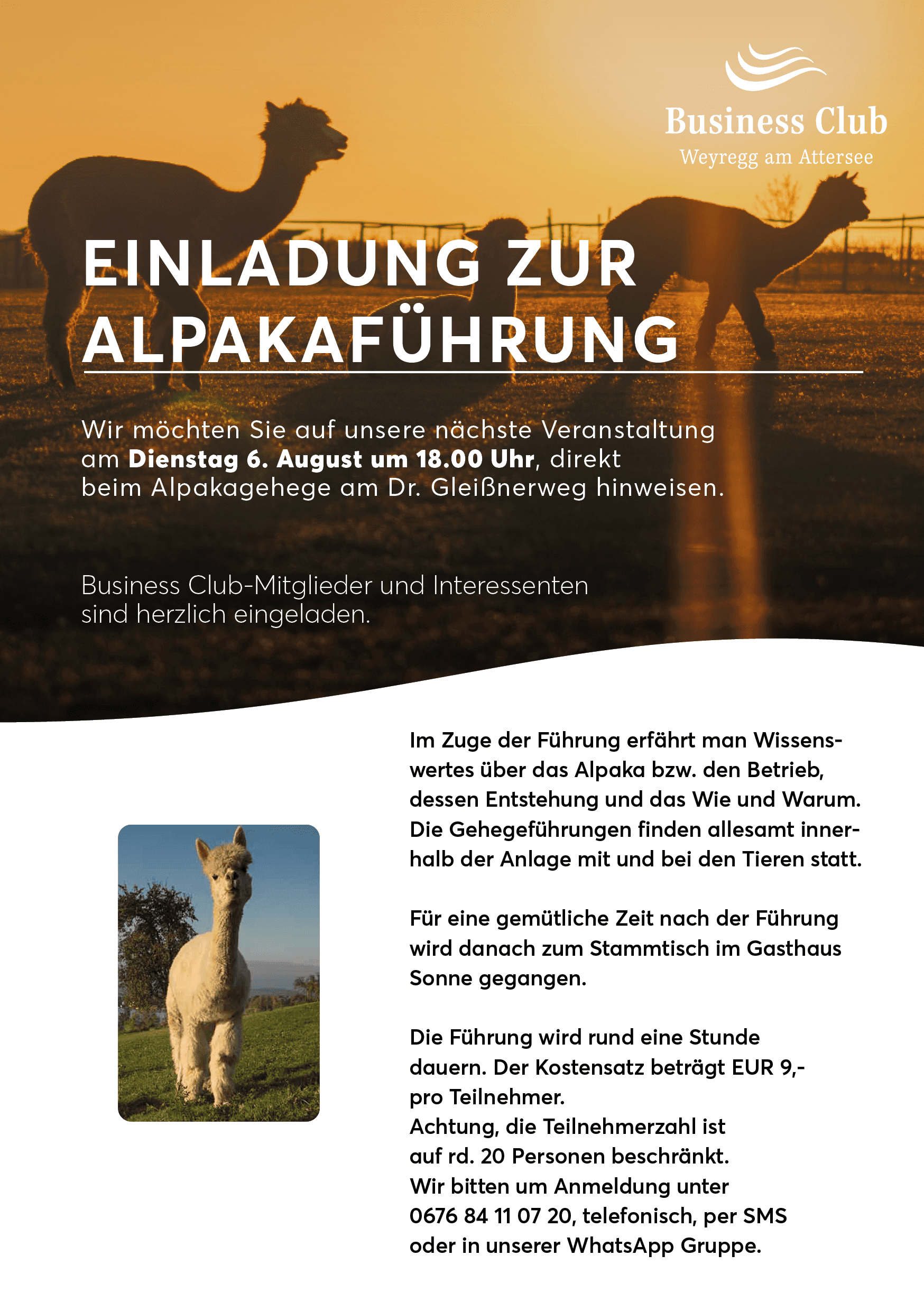Einladung zur Alpakaführung
