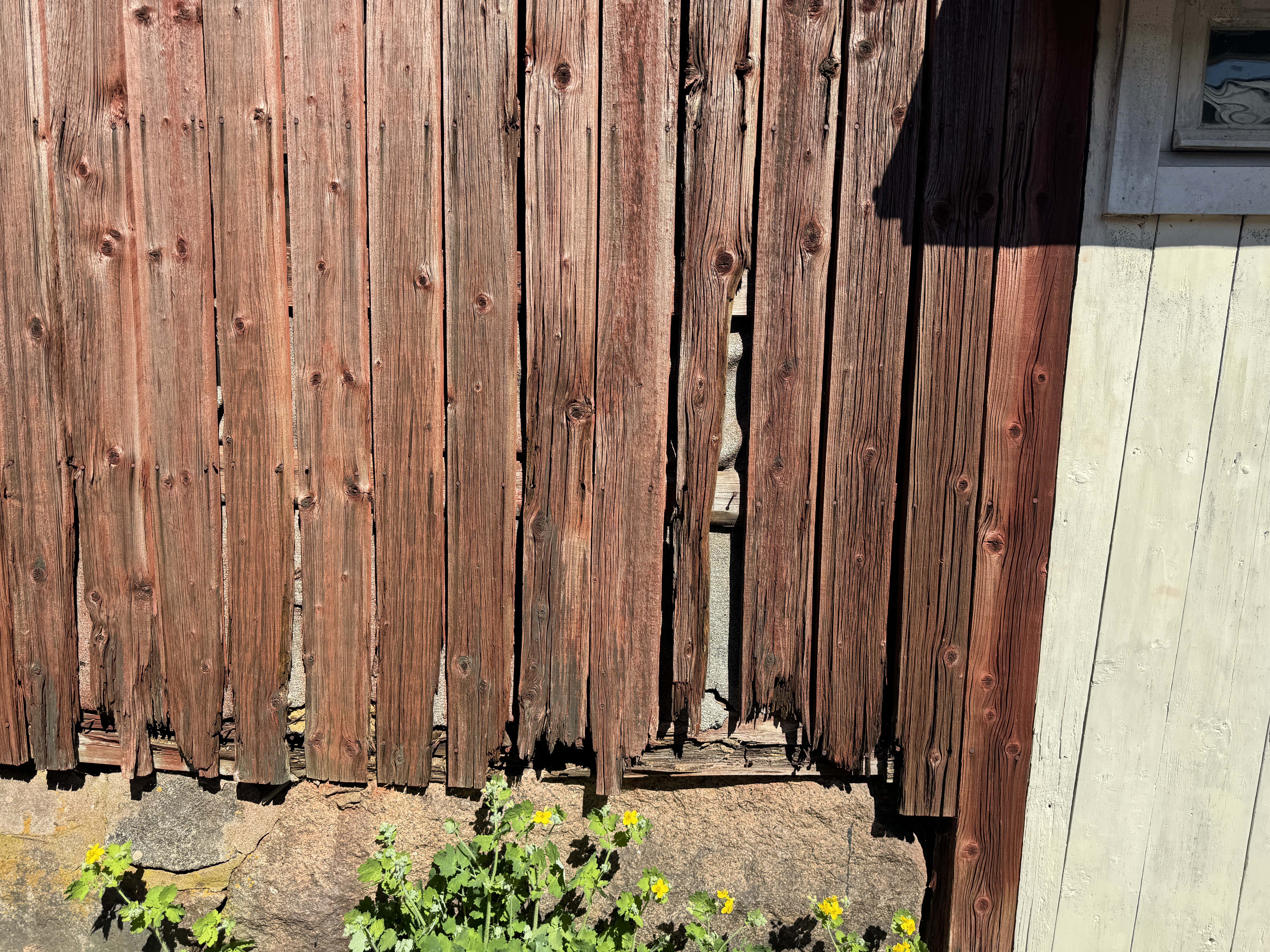 lahovaurioitunut laudoitus