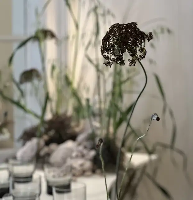 Fotografía minimalista de flor seca en primer plano con fondo difuminado y tonos neutros para proyectos de estética natural y poética.