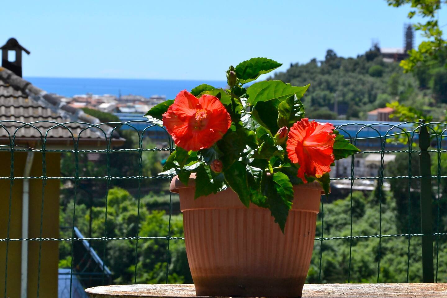 Villa Daria, foto 5