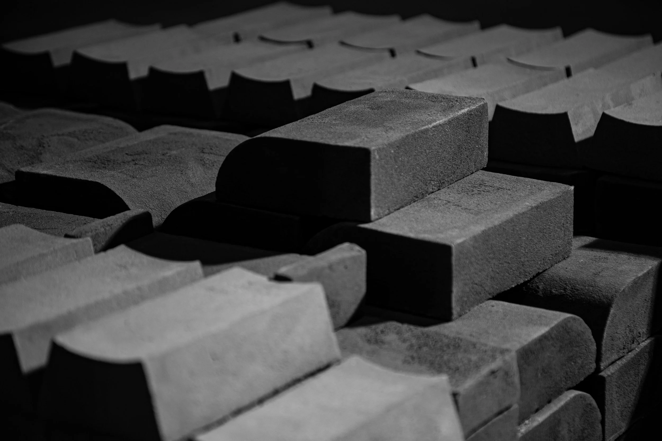 Black and white image of custom shape bricks.