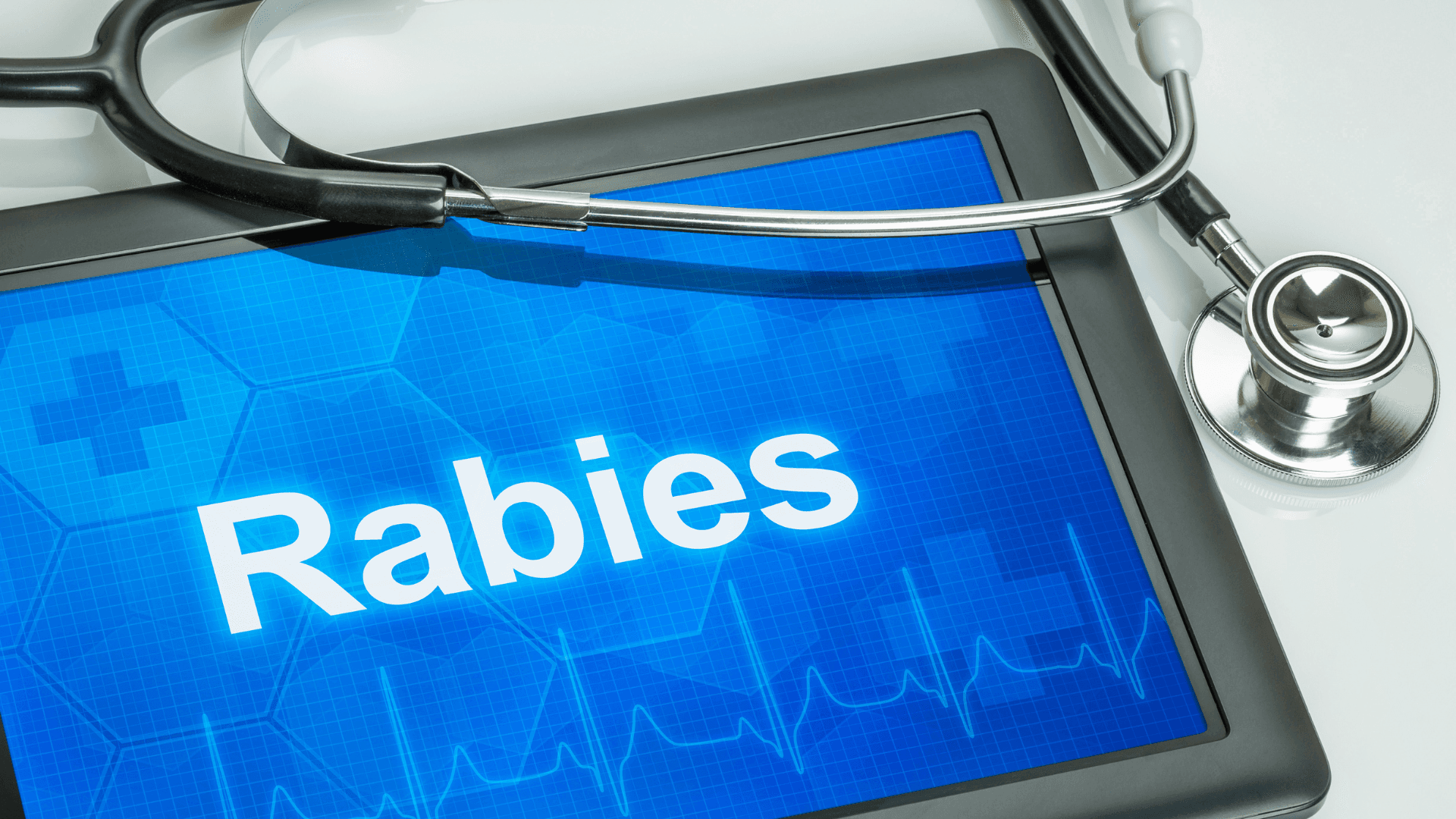 An Ipad showing a blue screen with the words RABIES in white with a stethoscope next to it.