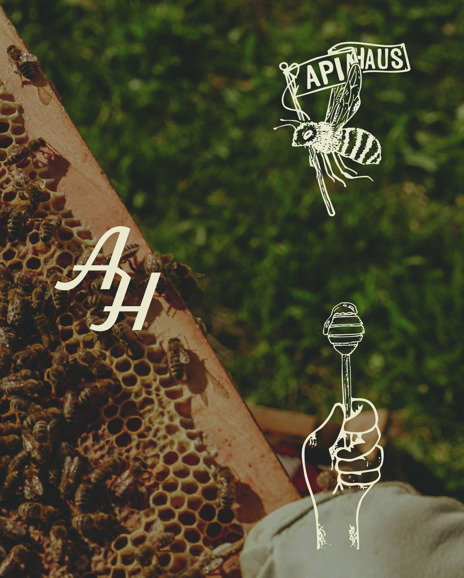 Handdrawn element for honey branding