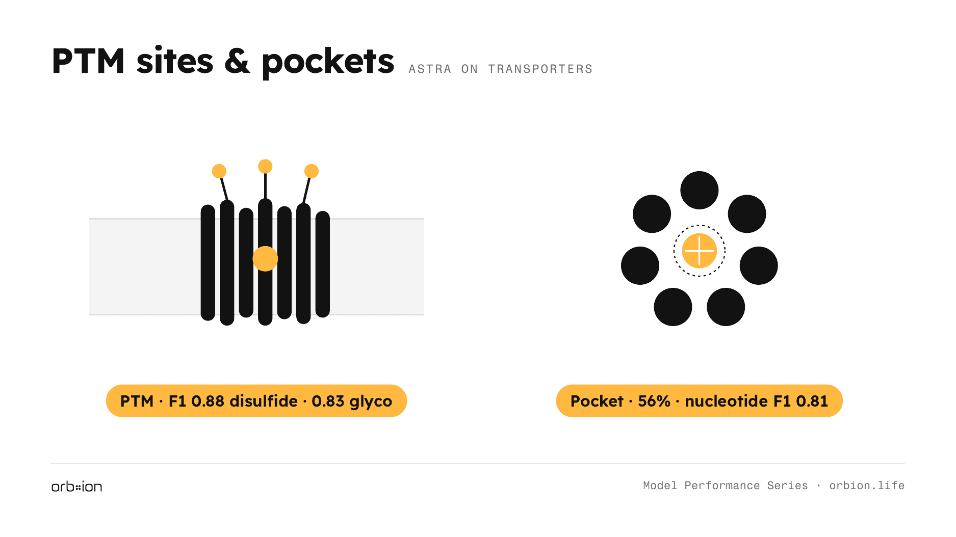 Pocket prediction is carried by chemically well-defined nucleotide sites