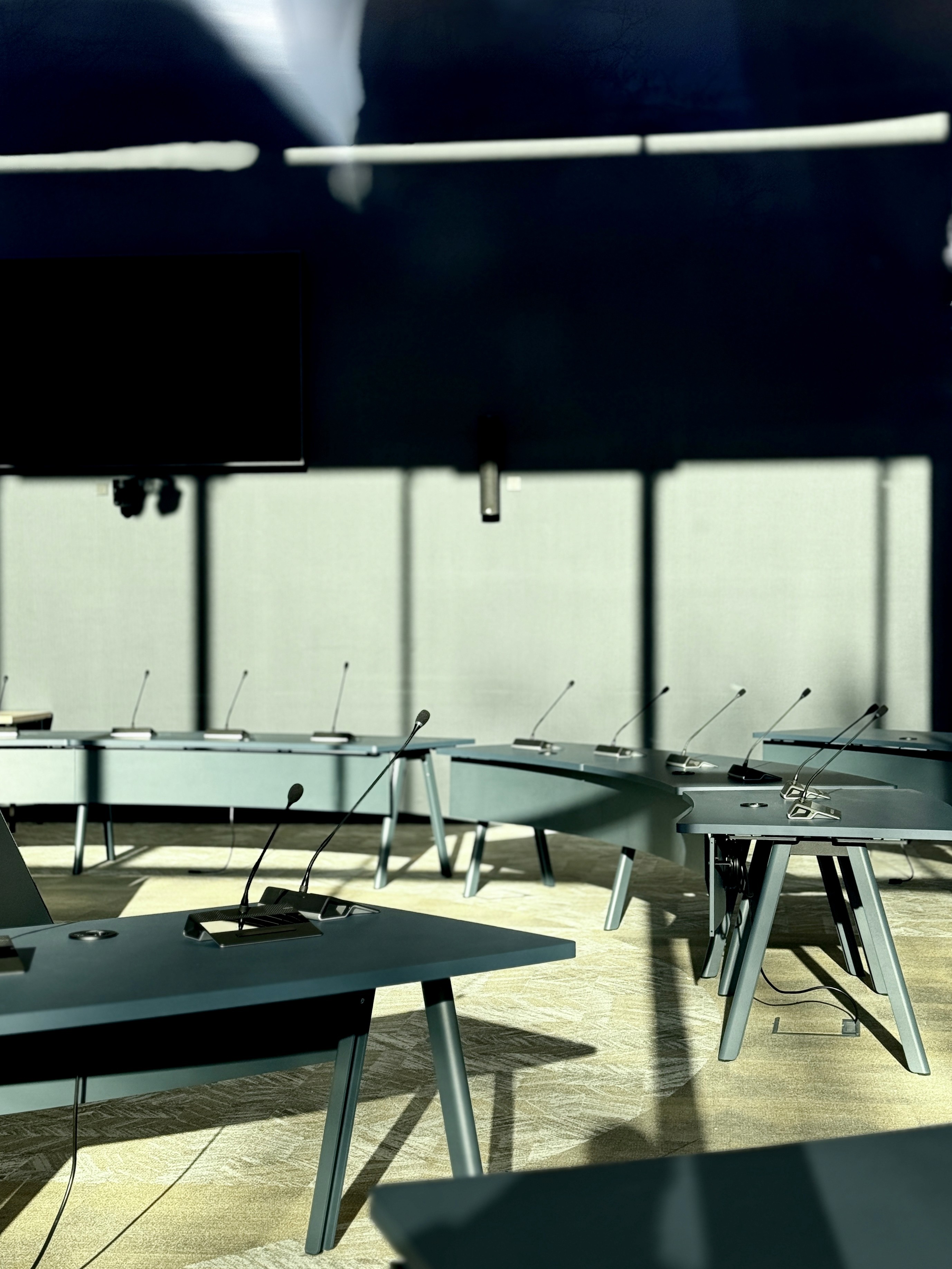 BorneNu - Raadsvergadering Borne Omgevingsplan