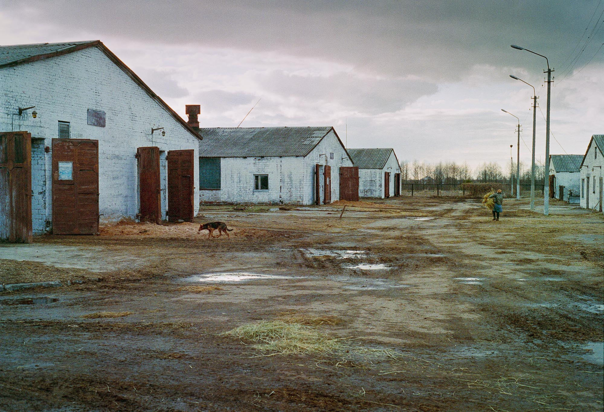 Collective Farm, Ukraine, 2000