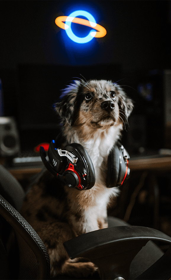 Portrait of a person in dark clothing speaking on a phone