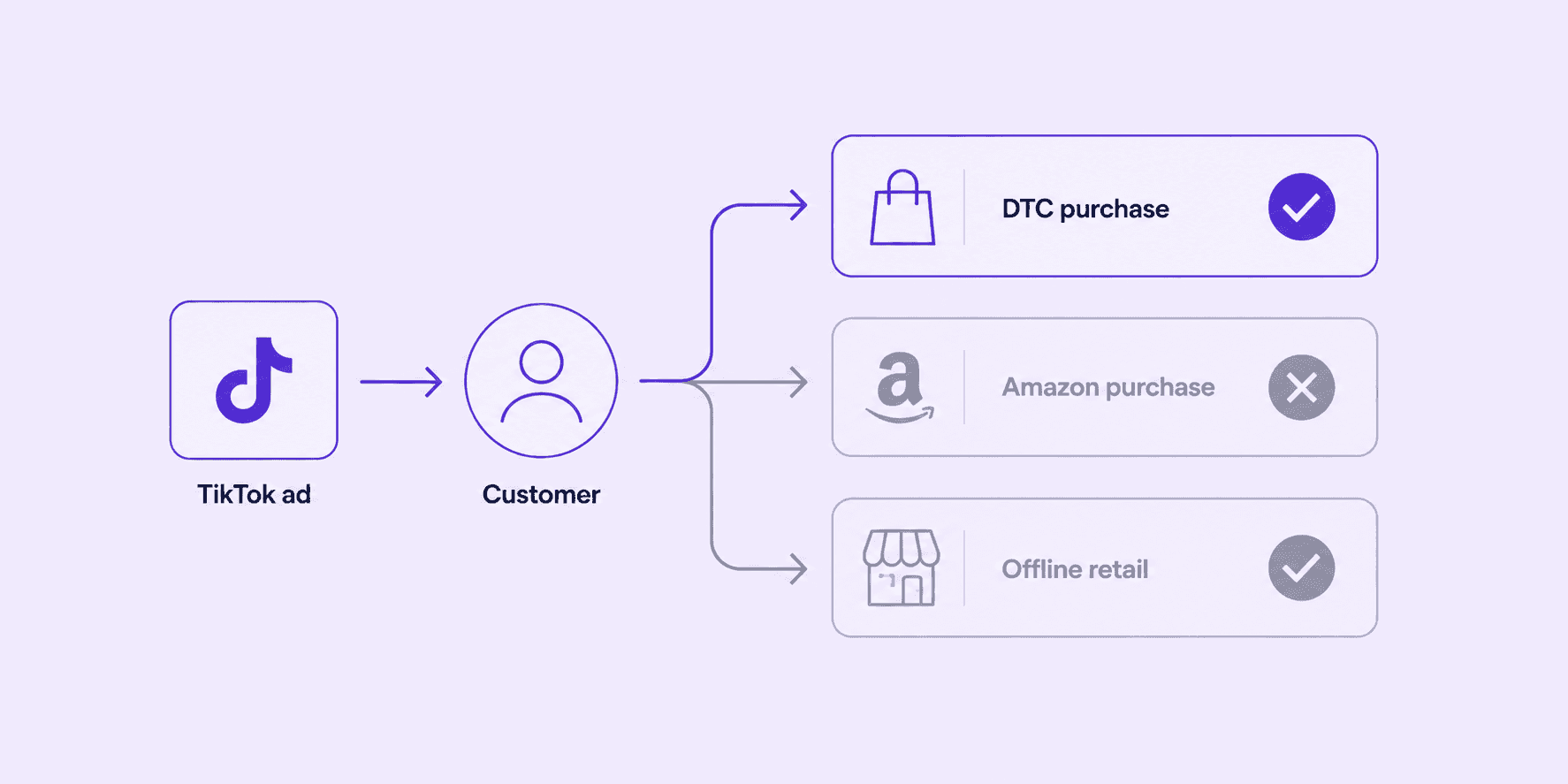 Image showing a customer journey purchase from TikTok Ad to either DTC, Amazon, or offline purchase.