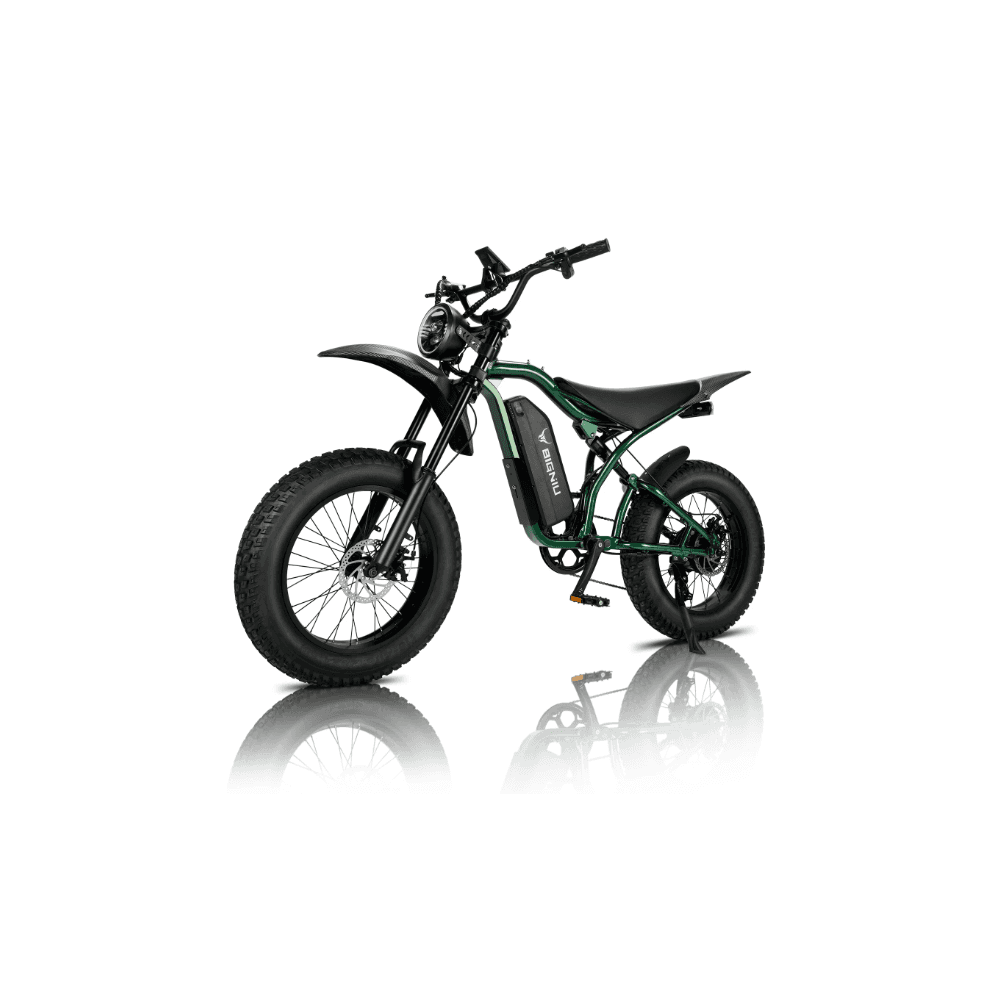 Sample product image of Bigniu BG-S e-bicycle