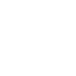 No secret clothing Logo