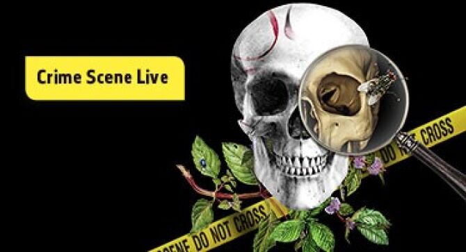 2. Night at the Museum!