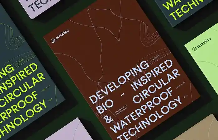 Sample communication material from the brand Amphico featuring the Zimula typeface