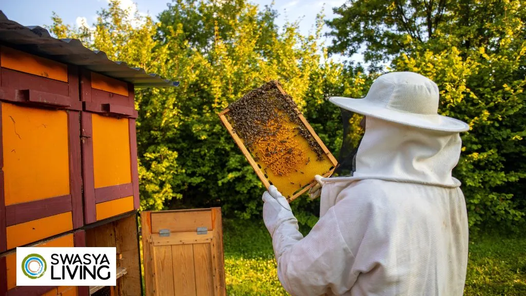  Understanding the Importance of Beekeeping