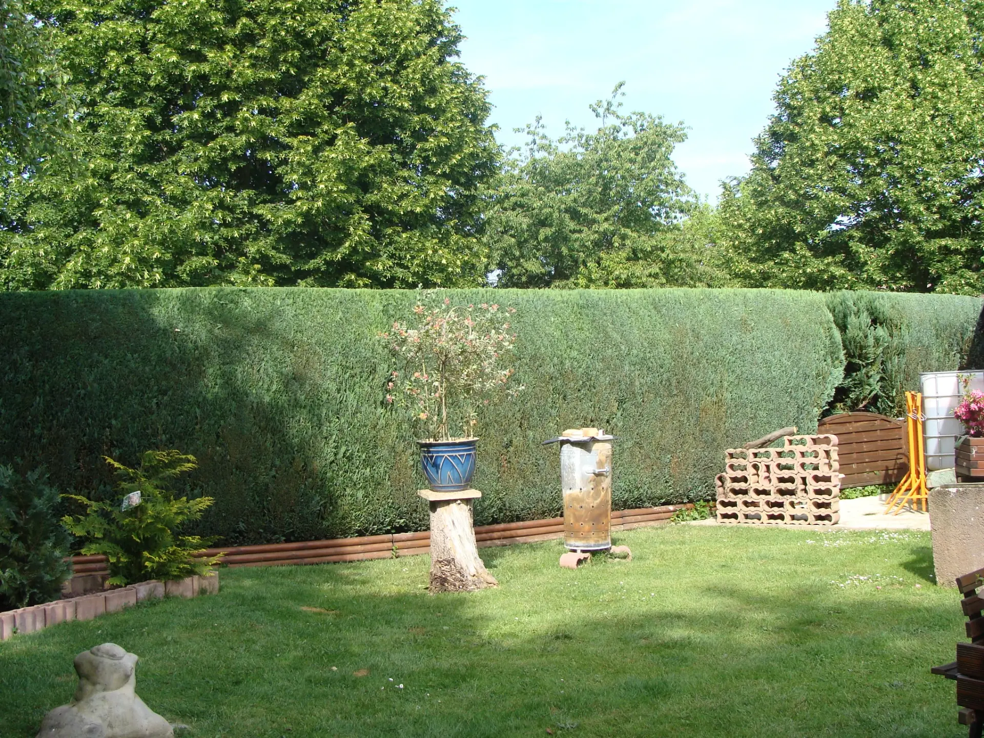 Vue sur un jardin et d'une haie venant d'être taillée