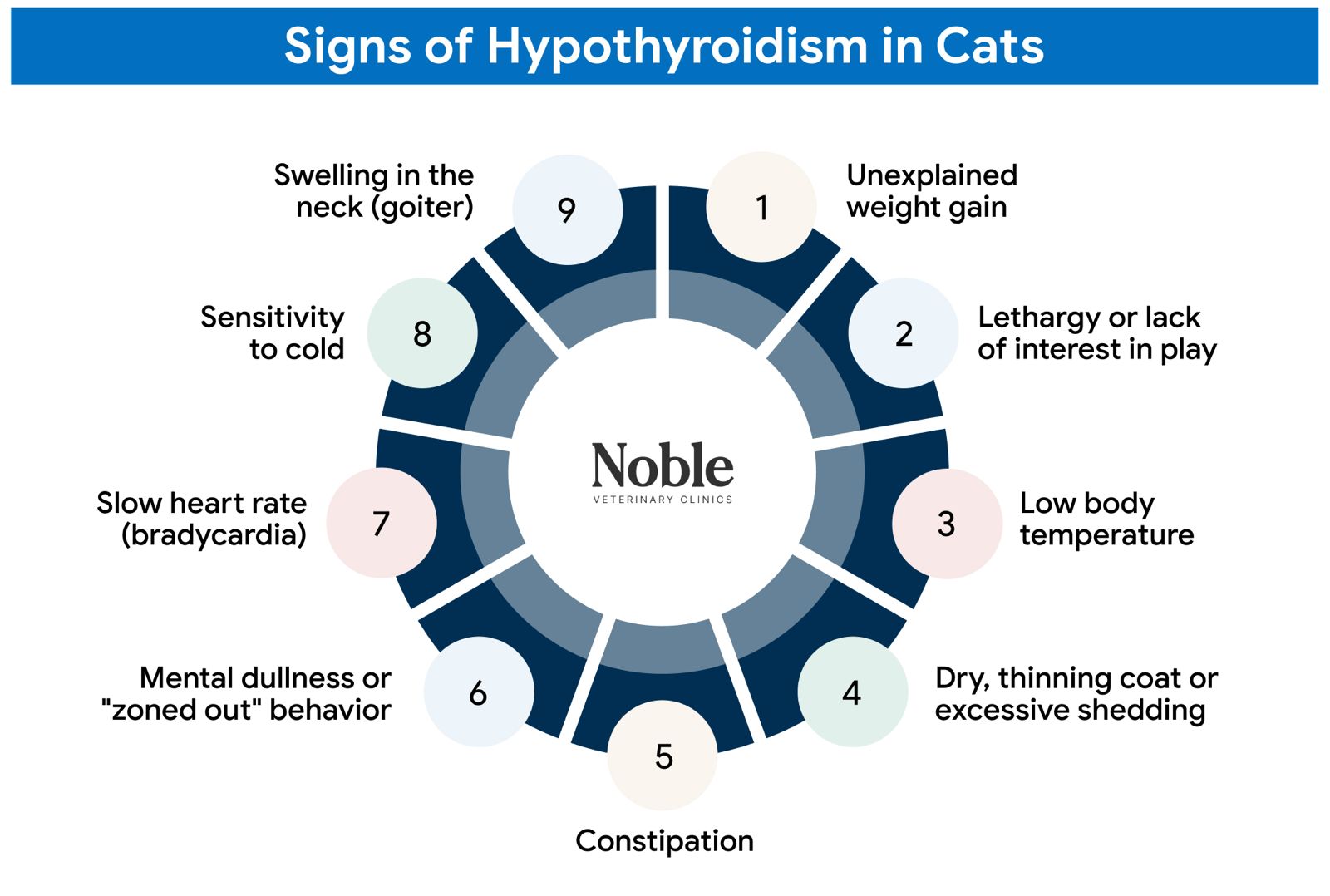 An image showing the symptoms of hypothyroidism in cats.