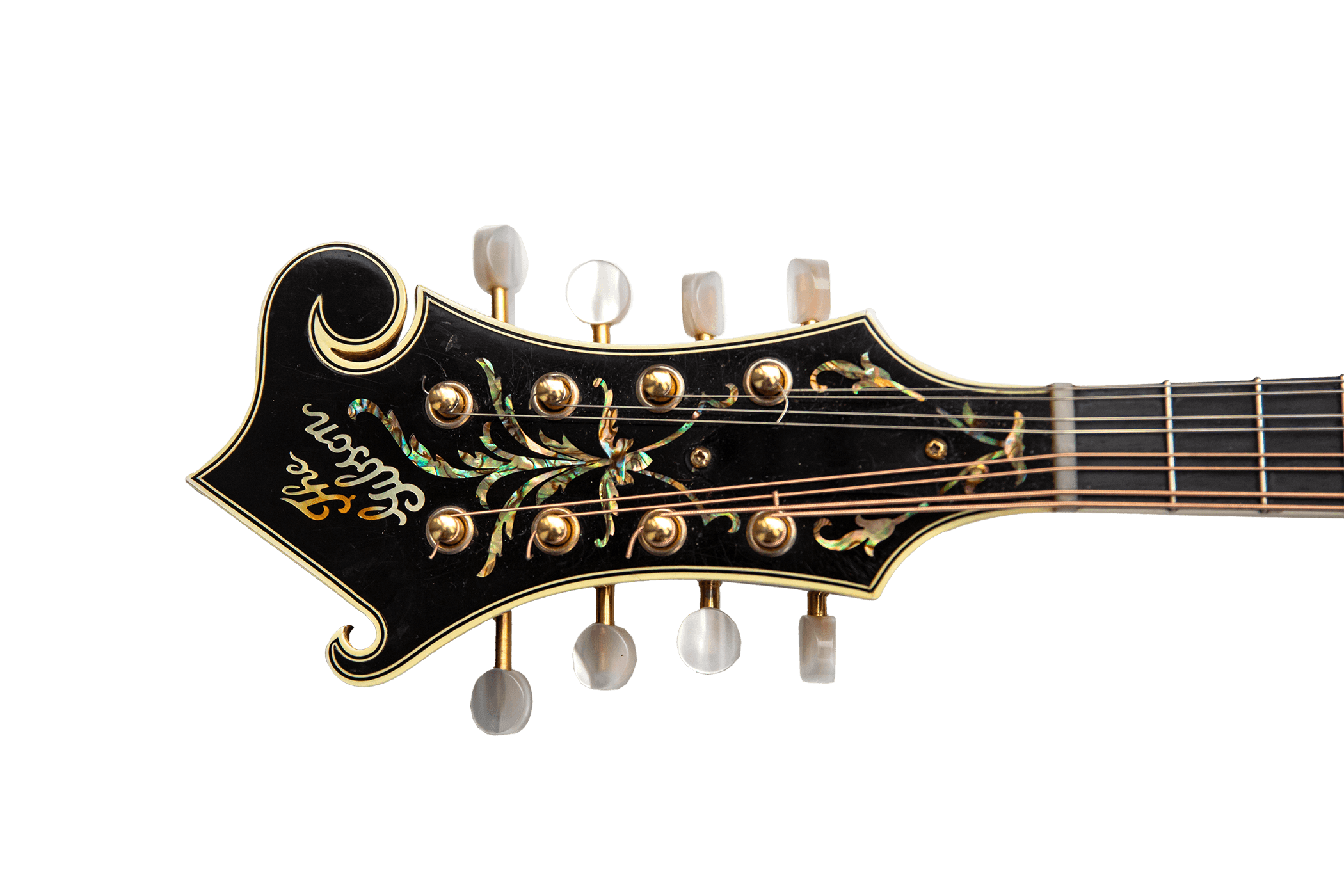 A picture of the head of a mandolin.
