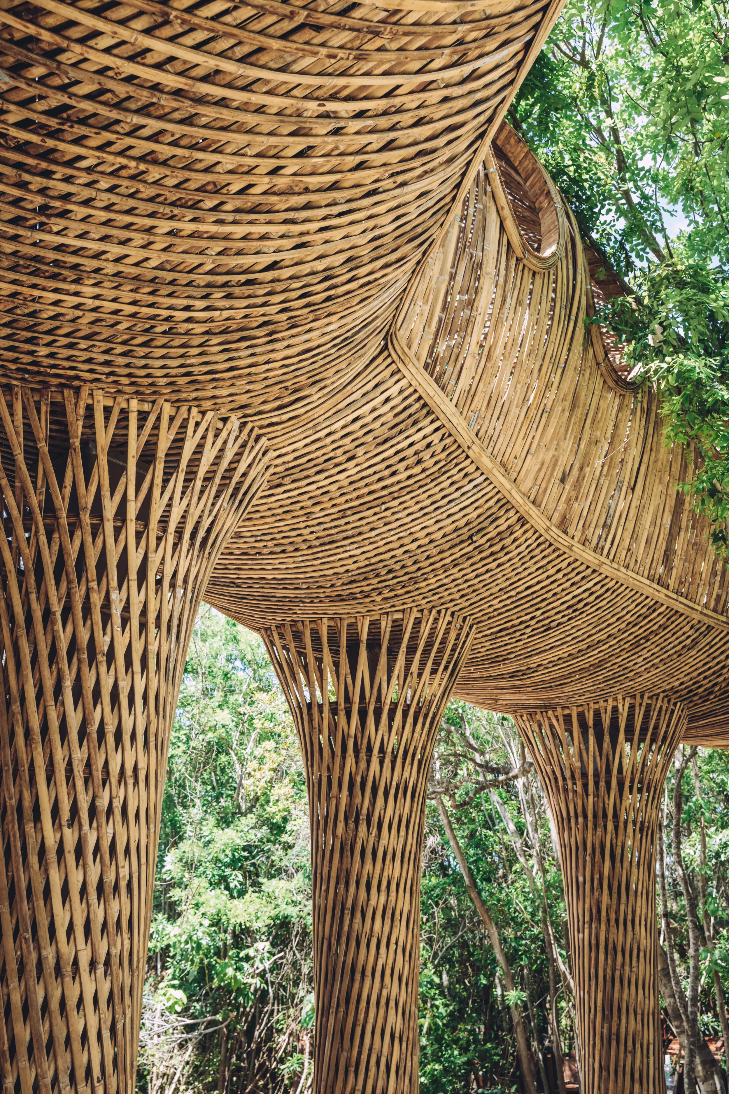 Low-angle view of the Cervecería Tulum bamboo structure, showcasing the intricate woven skin of the elevated tunnel supported by structural bamboo columns amidst the jungle trees.