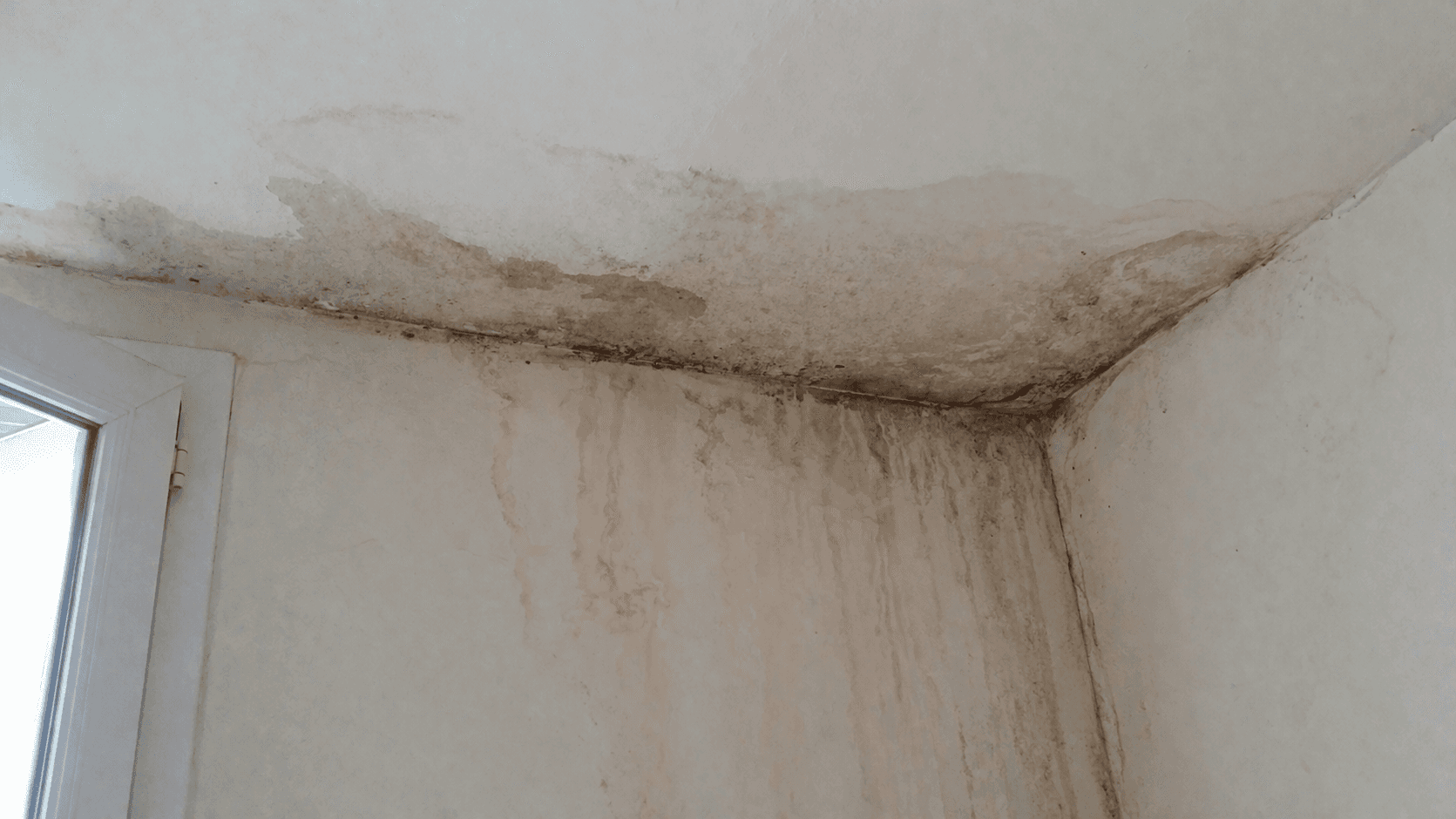 Photo Panasonic GH4 montrant une infiltration d’eau provenant d’une fuite de toiture introuvable, avec traces d’humidité, auréoles brunes et moisissures dans l’angle d’un plafond intérieur près d’une fenêtre.