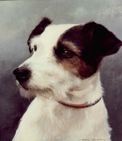 jack russell dog looking left painting with a plain background