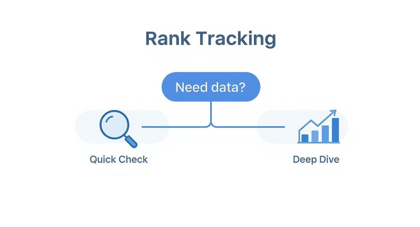 Infographic about how to check keyword ranking