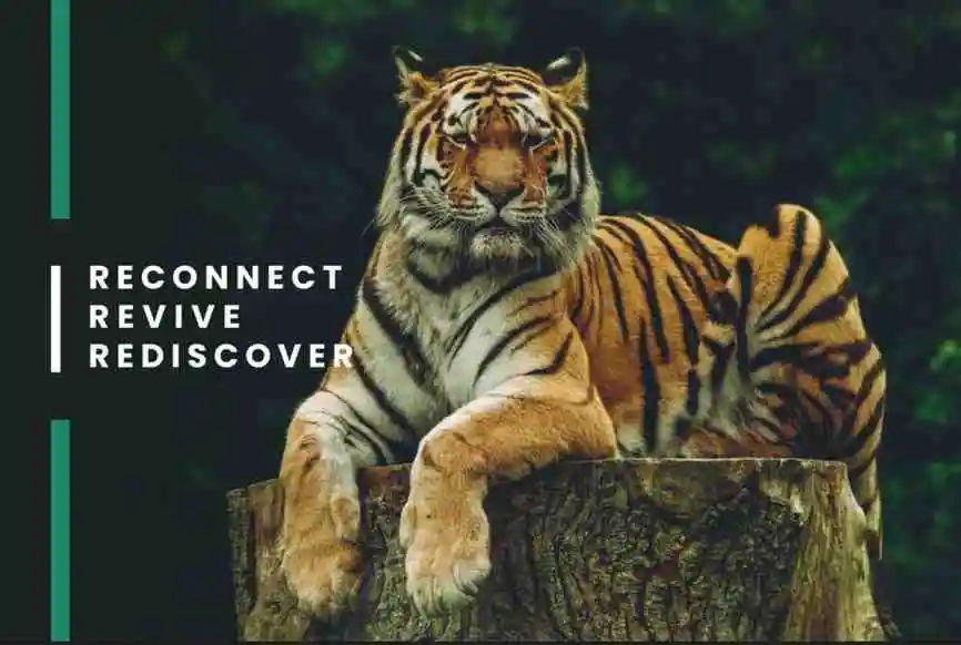 <img src="luxury-cottages.jpg" alt="Luxury cottages surrounded by scenic landscapes, offering comfort and premium second home living" />
