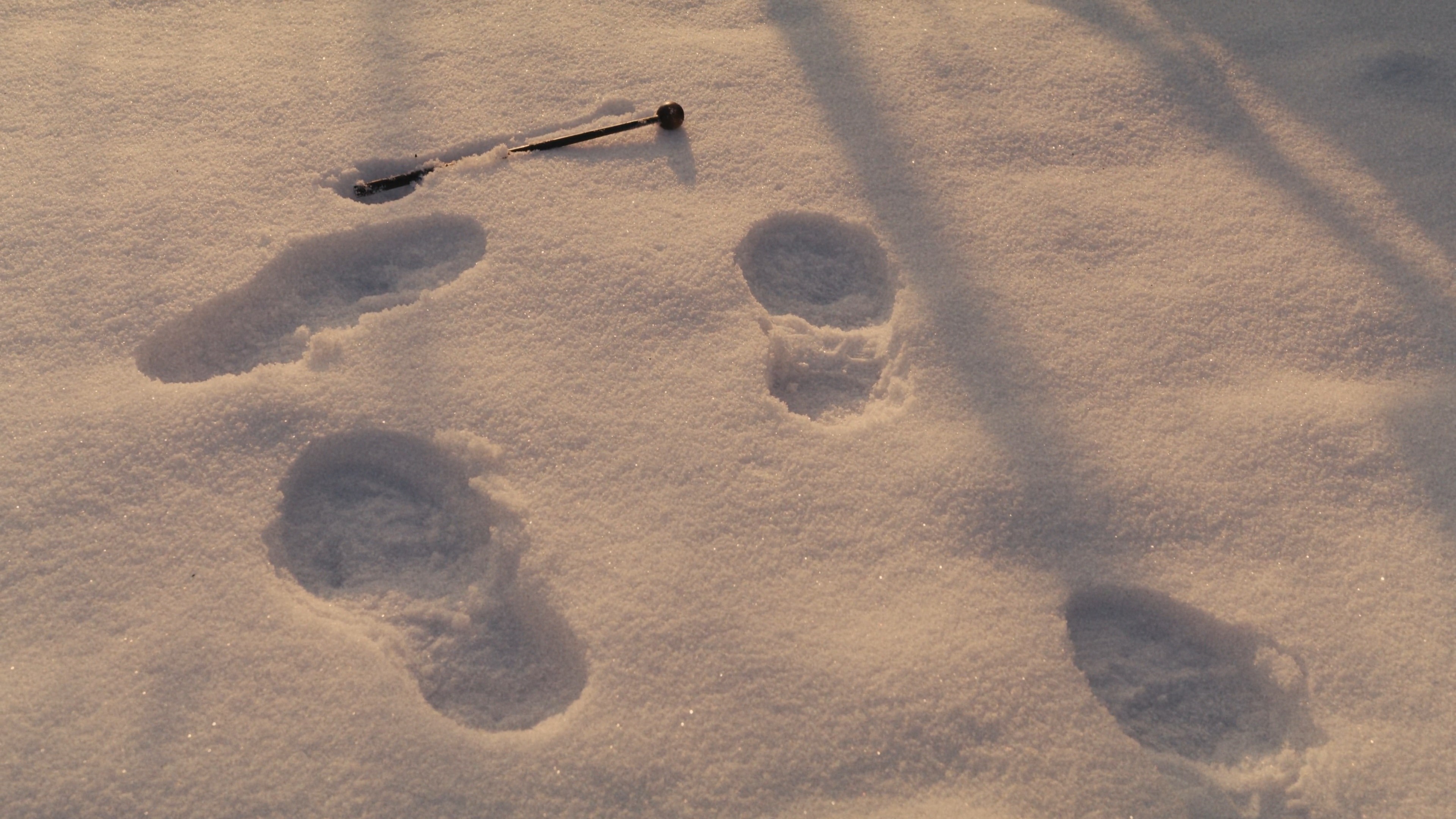 High angle shot of footprints in fresh snow, winter scene.
