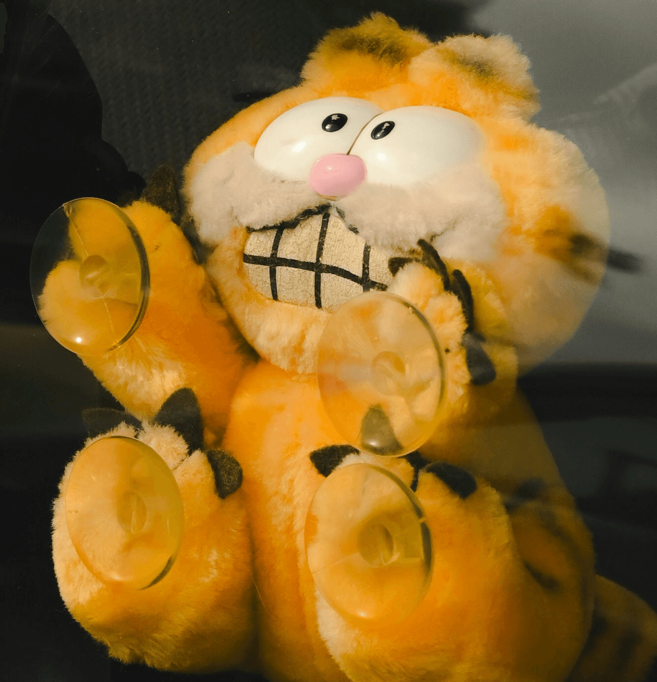 Garfield plushie is stuck in a car window.