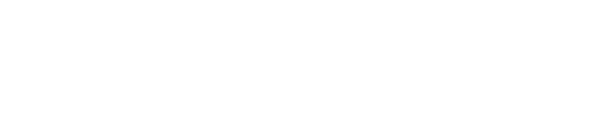 Client Icon