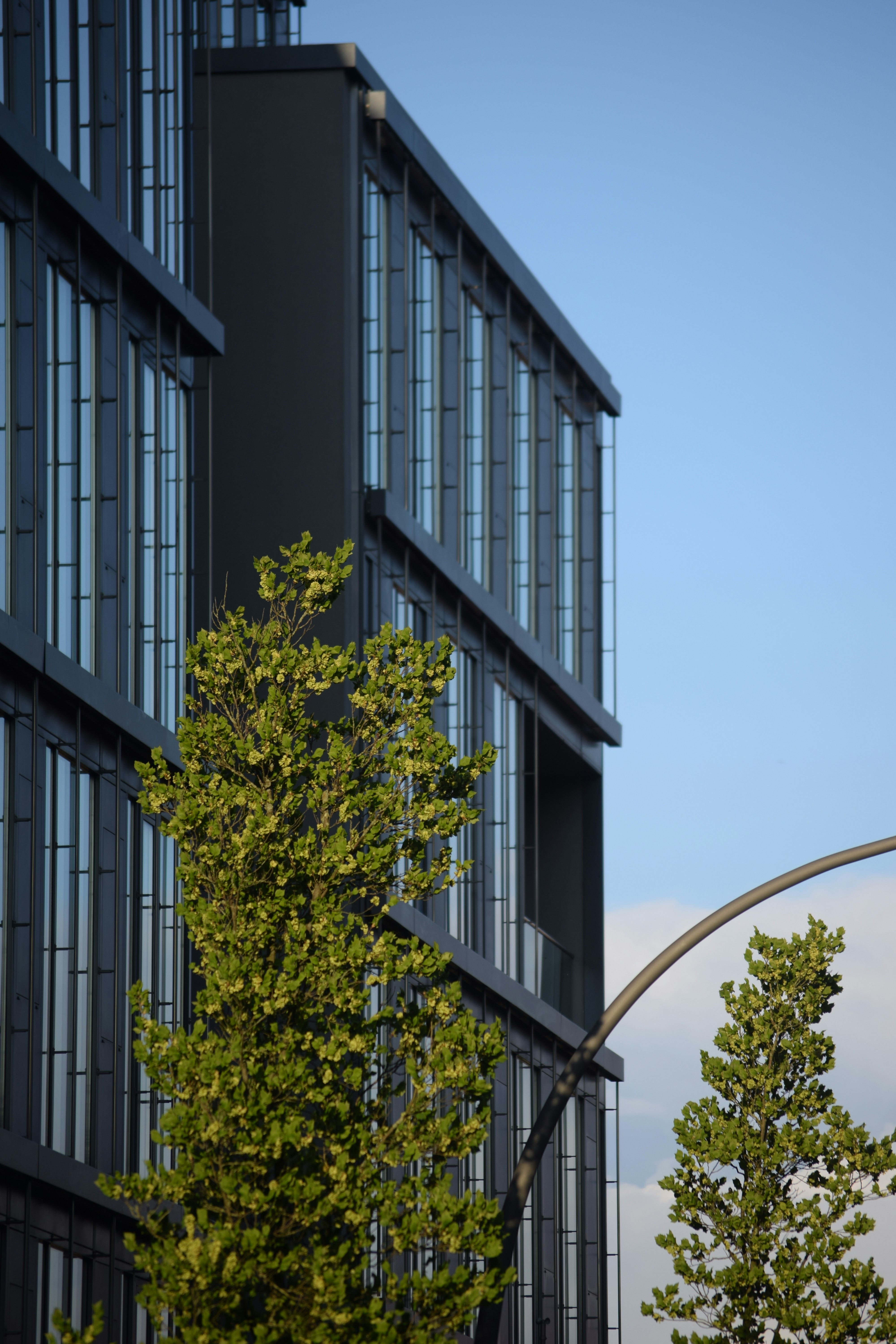 A modern building with large windows, partially obscured by greenery against a clear blue sky.