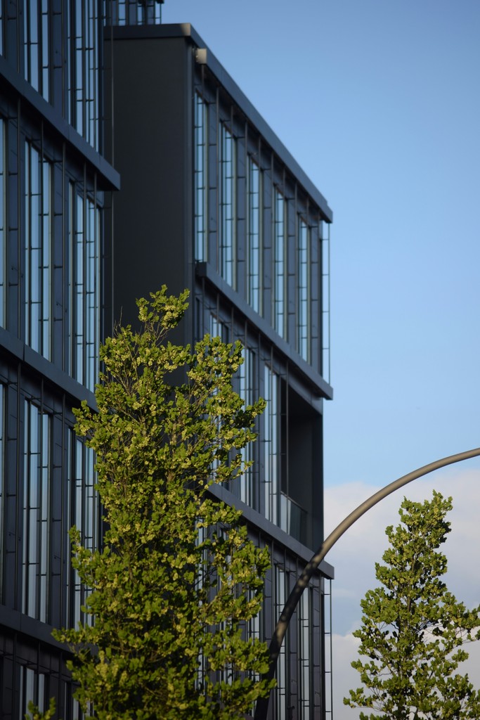 A modern building with large windows, partially obscured by greenery against a clear blue sky.