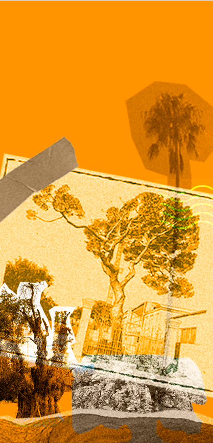 Imagen estilo collage con fotografía sepia de árbol y casa, sobre fondo naranja con gráficos superpuestos.