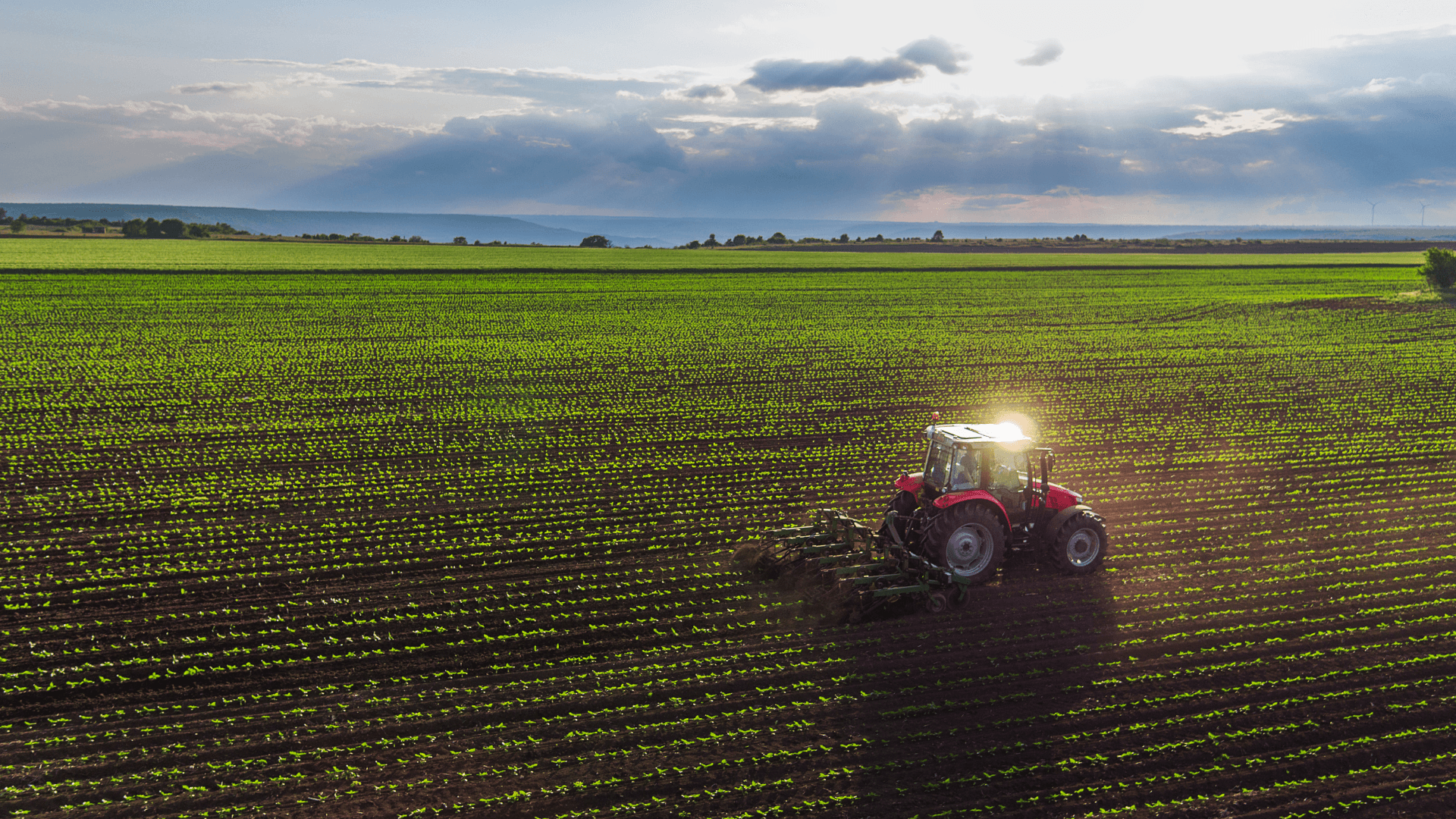 Tractor cultivating field.
