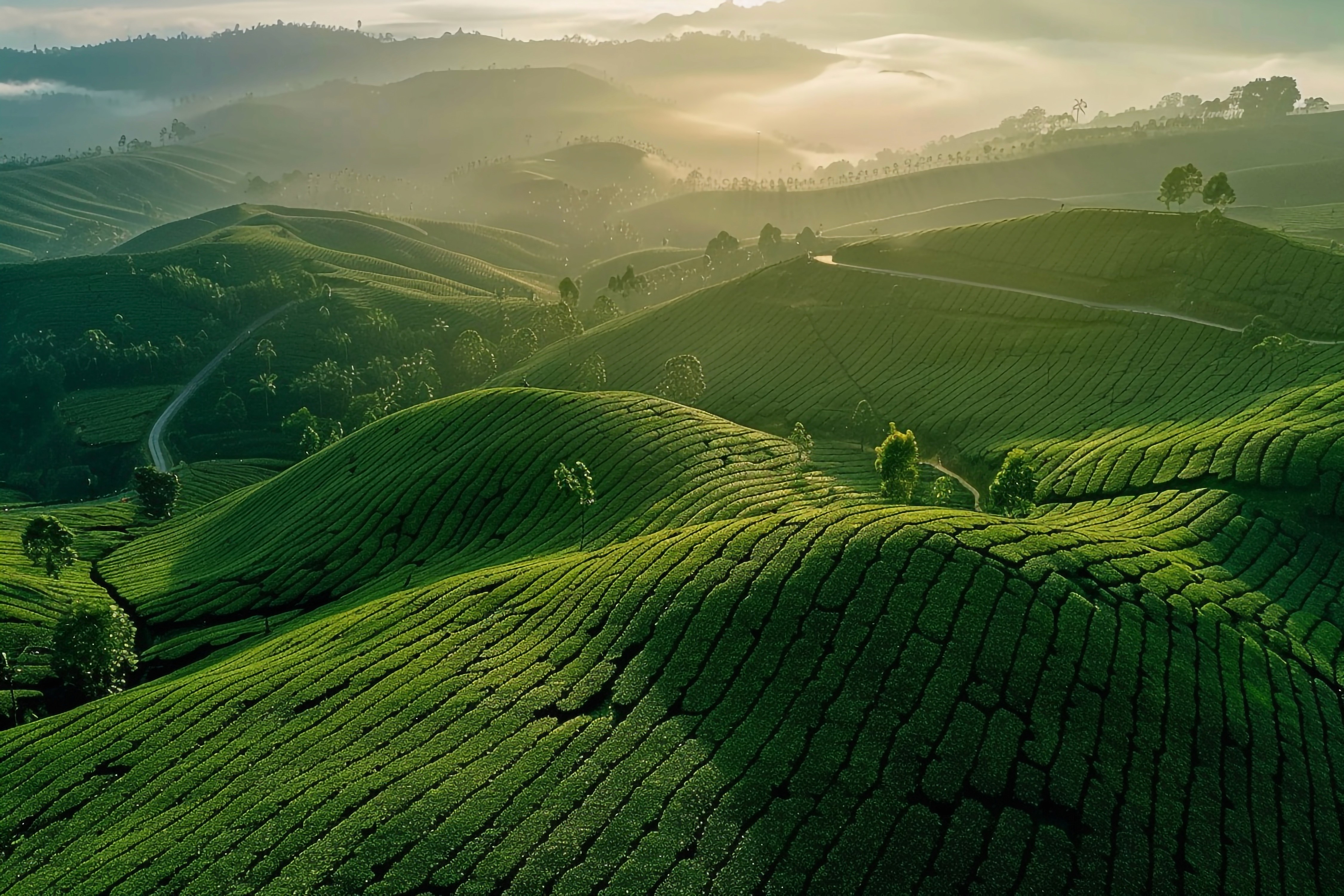 red train travelling near body of water