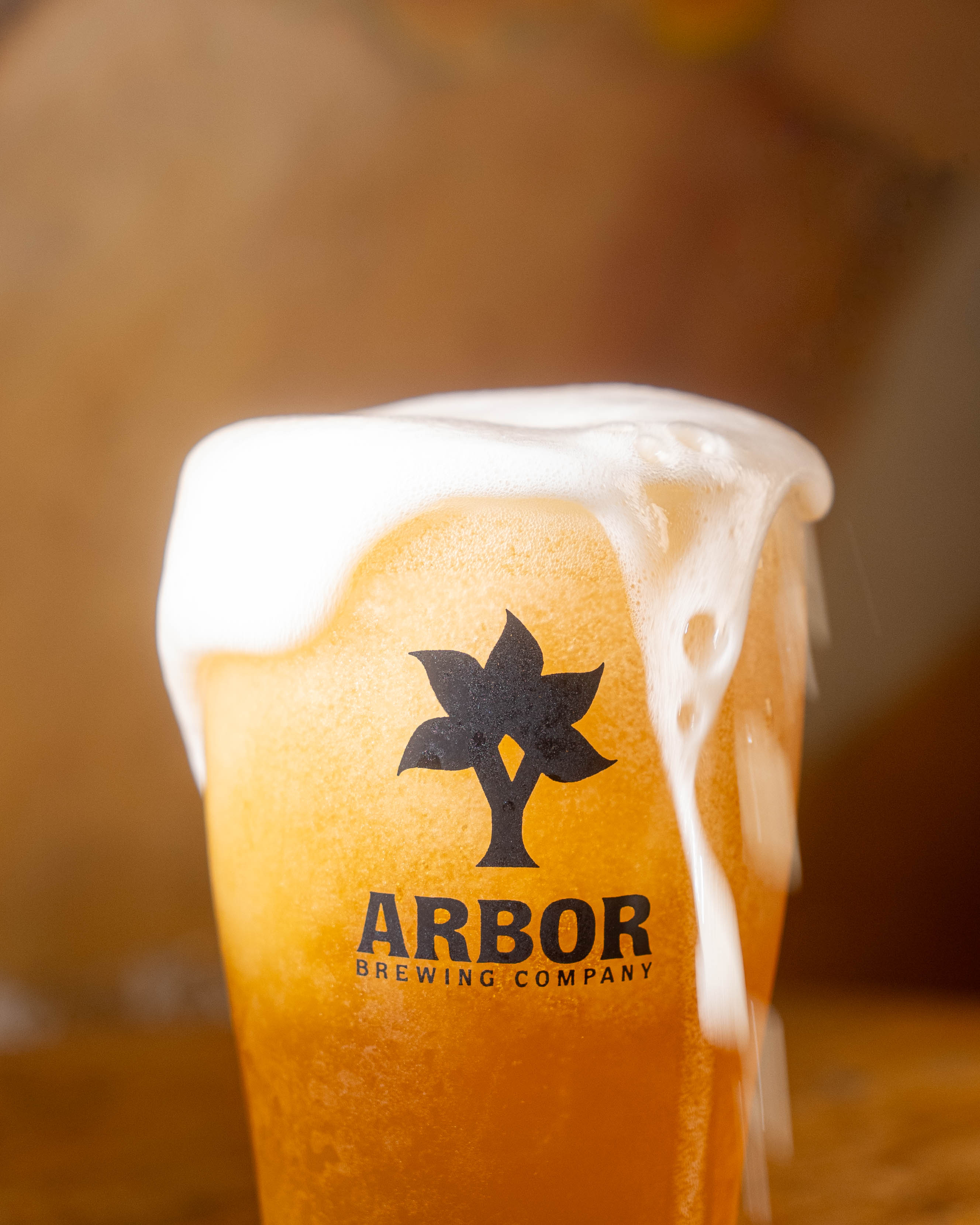 Arbor Brewing Company - Beach Shack IPA