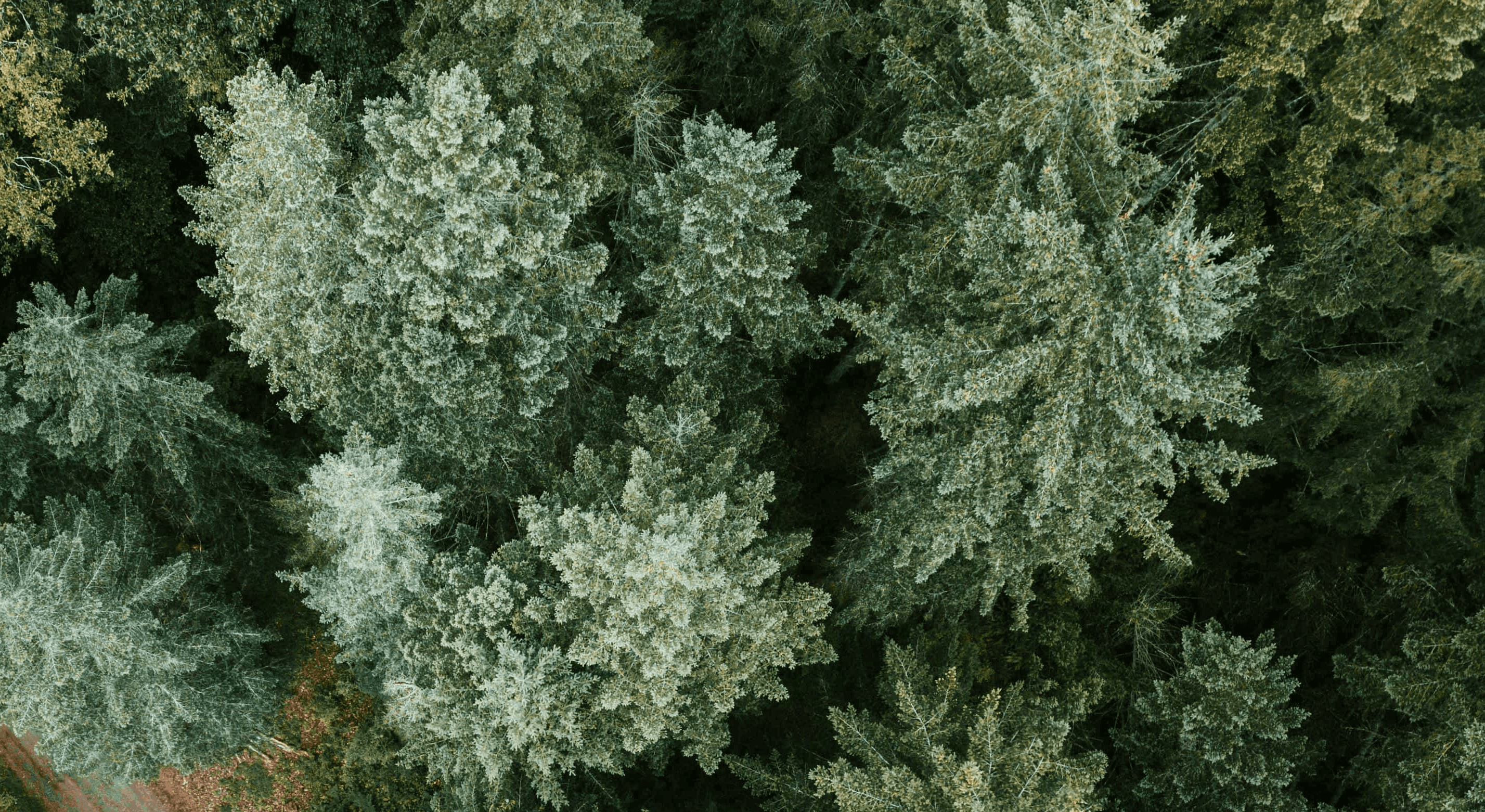 A winding road cuts through rocky terrain, surrounded by patches of green grass and illuminated by sunlight.